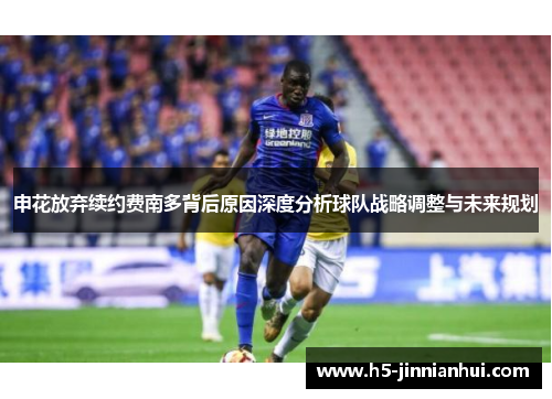 申花放弃续约费南多背后原因深度分析球队战略调整与未来规划